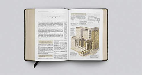Esv Study Bible (Genuine Leather, Black)