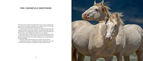 Wild Horses of the West,Used
