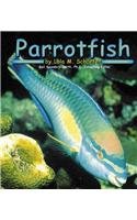 Parrotfish (Pebble Books),Used