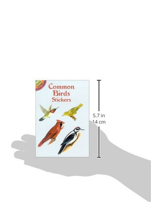 Common Birds Stickers (Dover Little Activity Books: Animals),Used