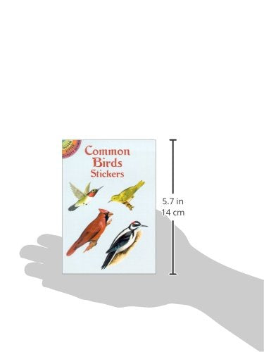 Common Birds Stickers (Dover Little Activity Books: Animals),Used