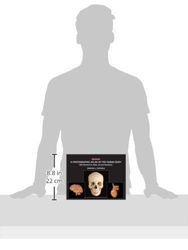 A Photographic Atlas Of The Human Body: With Selected Cat, Sheep, And Cow Dissections,New
