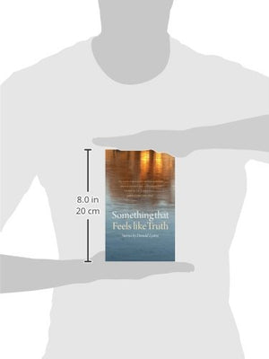Something That Feels Like Truth (Switchgrass Books),Used