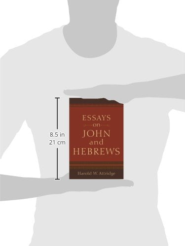 Essays on John and Hebrews,Used