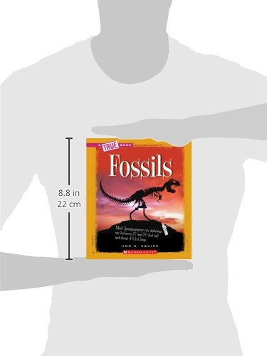 Fossils (True Books),Used