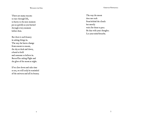 Watering the Soul,Used