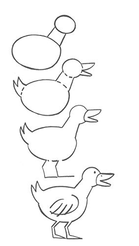 How to Draw Animals: Easy StepbyStep Drawings! (Dover How to Draw),Used