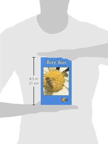 Busy Bees (Real Readers  Upper Emergent),Used
