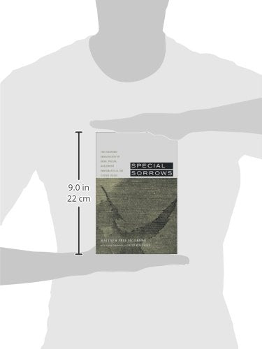 Special Sorrows: The Diasporic Imagination of Irish, Polish, and Jewish Immigrants in the United States,Used