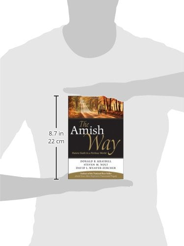 The Amish Way: Patient Faith in a Perilous World,Used