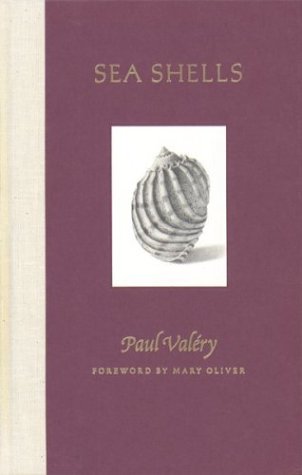 Sea Shells,New