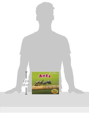 Ants (Creepy Critters),Used