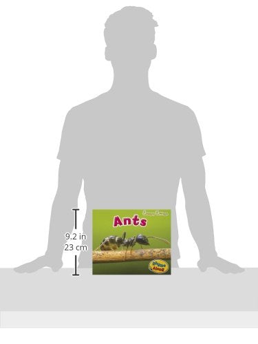Ants (Creepy Critters),Used