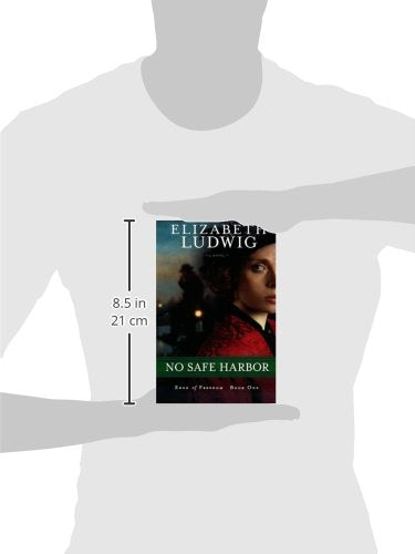 No Safe Harbor (Edge of Freedom),Used