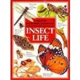 Mysteries and Marvels of Insect Life (Mysteries & Marvels Books),Used