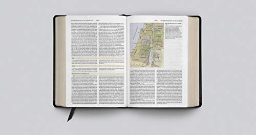 ESV Study Bible (Bonded Leather, Black),Used