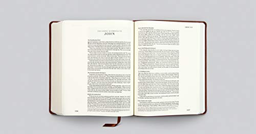 Esv Single Column Journaling Bible (Trutone, Chestnut, Leaves Design)