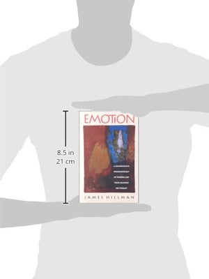 Emotion: A Comprehensive Phenomenology Of Theories And Their Meanings For Therapy,Used