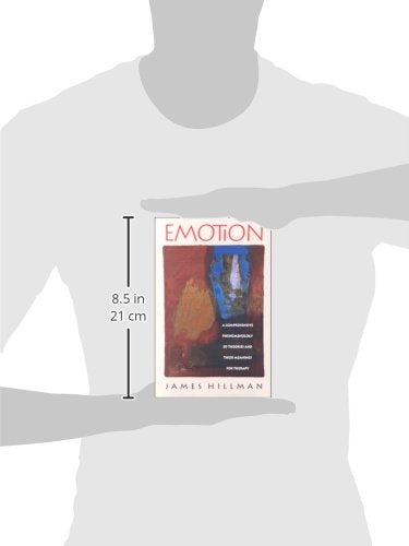 Emotion: A Comprehensive Phenomenology Of Theories And Their Meanings For Therapy,Used