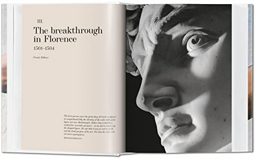 Michelangelo: The Complete Paintings, Sculptures and Architecture, 14751654,Used
