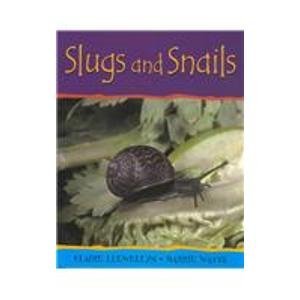 Slugs and Snails (Minibeasts),Used