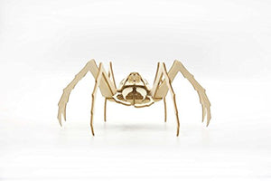 IncrediBuilds: Harry Potter: Aragog 3D Wood Model and Booklet,Used