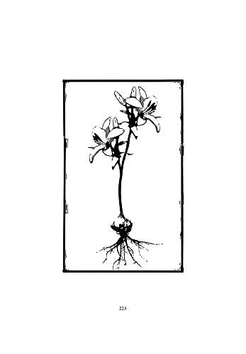 The Lost Art Of Dying: Reviving Forgotten Wisdom,Used