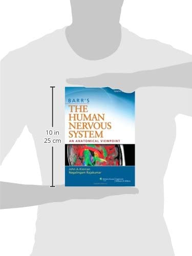 Barr's The Human Nervous System: An Anatomical Viewpoint,Used
