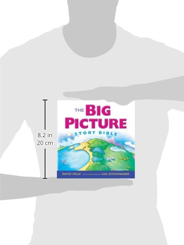 The Big Picture Story Bible (Paperback Edition),Used