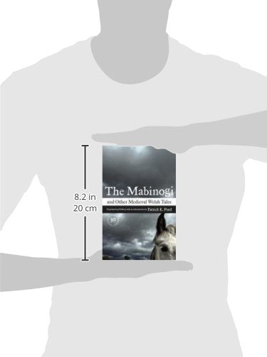 Mabinogi And Other Medieval Welsh Tales-new