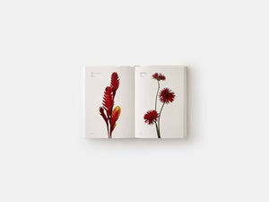 Flower Color Guide,Used