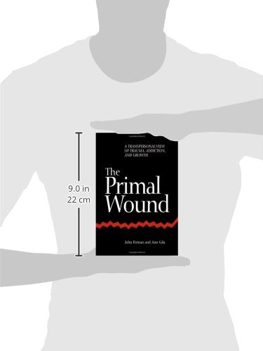 The Primal Wound: A Transpersonal View Of Trauma, Addiction, And Growth (S U N Y Series In The Philosophy Of Psychology) (Suny T,Used