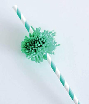 Make in a Day: Pompom Crafts,Used