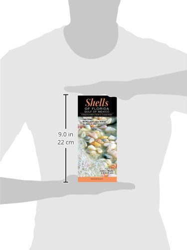 Shells of FloridaGulf of Mexico: A Beachcombers Guide to Coastal Areas,Used