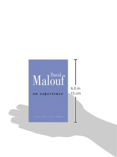 On Experience (Little Books on Big Themes),Used