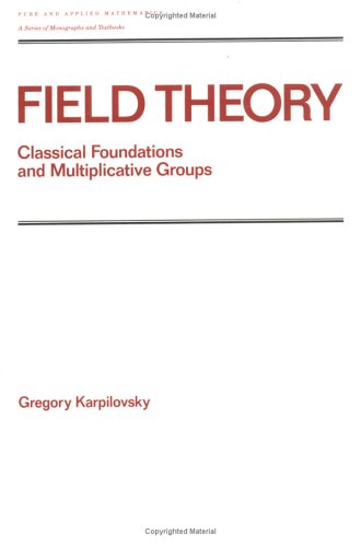 Field Theory: Classical Foundations And Multiplicative Groups (Chapman & Hall/Crc Pure And Applied Mathematics),Used
