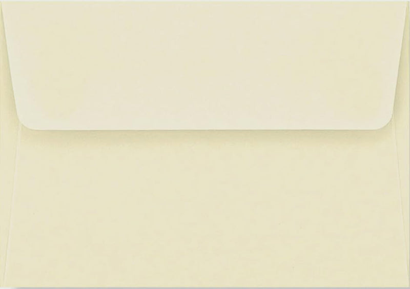Ladybug Thank You Notes (Note Card Series),New