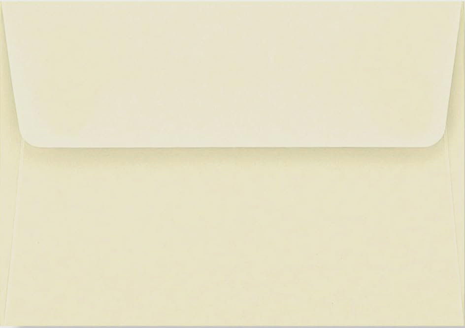 Ladybug Thank You Notes (Note Card Series),New