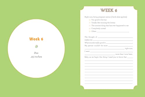 From Pea to Pumpkin: A Pregnancy Journal (Mother's Day Gift for Expecting Moms),Used