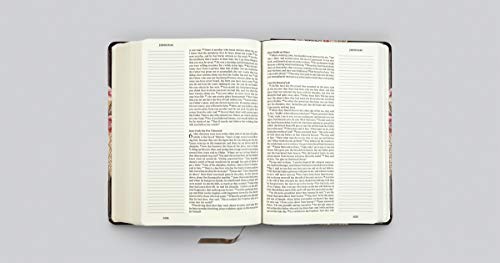 Esv Single Column Journaling Bible, Large Print (Summer Garden)