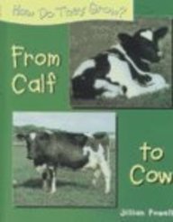 From Calf to Cow (How Do They Grow?),Used