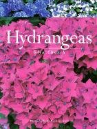 Hydrangeas,New