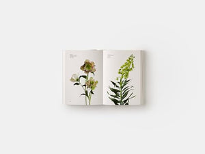 Flower Color Guide,Used