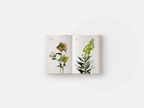 Flower Color Guide,Used
