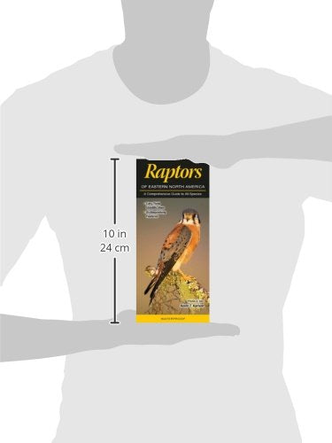 Raptors Of Eastern North America: A Comprehensive Guide To All Species,Used