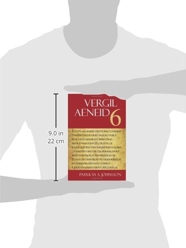 Aeneid 6 (The Focus Vergil Aeneid Commentaries) (Latin And English Edition),Used