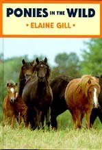 Ponies in the Wild,Used