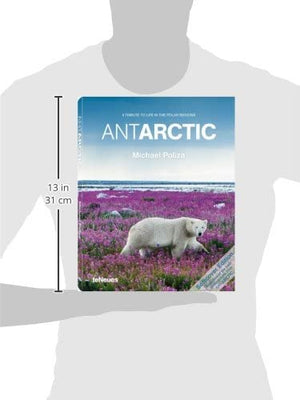 Antarctic (English And Spanish Edition),Used