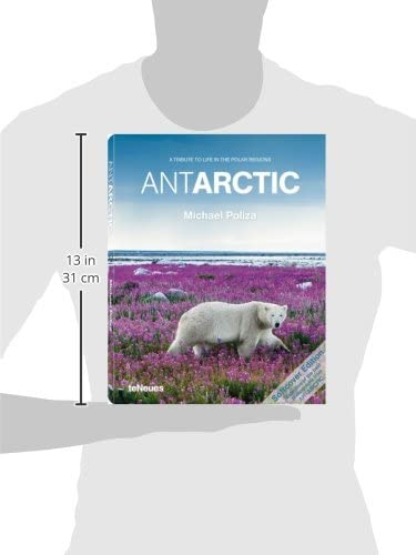 Antarctic (English And Spanish Edition),Used