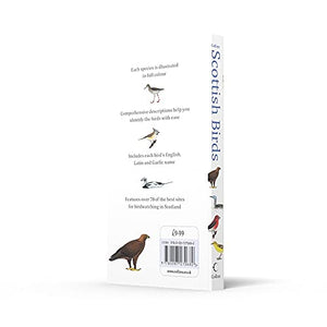 Collins Scottish Birds,Used